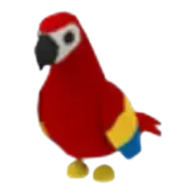 Parrot